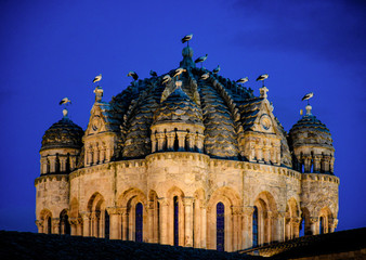 dome of the cathedral surrounded by storks at night