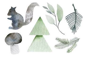 Illustration of a squirrel in the forest. watercolor elements mushrooms, © Tatyana