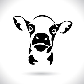 Vector of picture cow head design ,logo design,Farm Animals,Black and white picture,Line animal,on the white background.