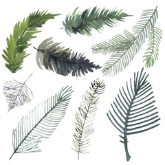 Christmas tree branches and pine trees with cones. Hand drawing.  objects in the style of engraving.