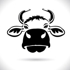 Vector of picture cow head design ,logo design,Farm Animals,Black and white picture,Line animal,on the white background.