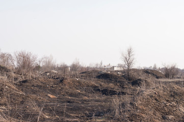 scorched grass after a fire against a white sky