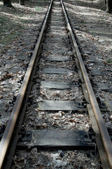 Fototapeta na wymiar Railway. Rails. Linear perspective. Vertical shot. Wooden sleepers. Line