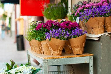 Flower shop. Colorful flowers sold on outdoors.