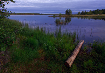 Coast of the Big Solovetsky Island during the low tide. White Sea, Solovki, Russia