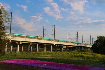 高架橋　新幹線　田舎　風景　杤木