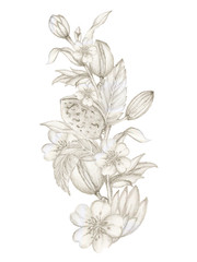 Watercolor illustration Botanical leaves collection cherry blossom sakura oriental foliage Set of wild and garden and abstract leaves bouquet sketch pencil hand painted