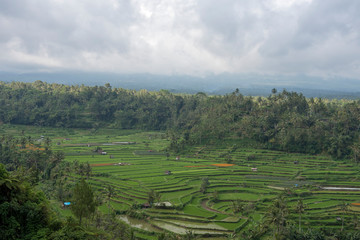 Indonesia