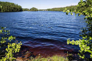 View of a scenic peat lake on a sunny summer day