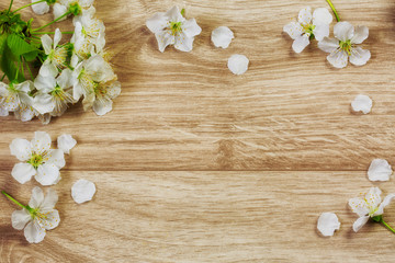 Fototapeta na wymiar Spring flowers on wooden background