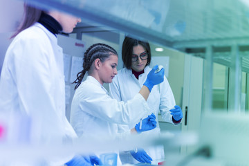 Group of  Laboratory scientists working at lab with test tubes, test or research in clinical...