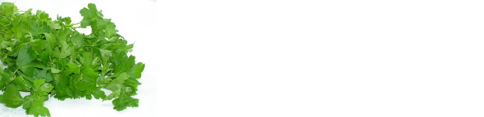 parsley greens for salad or soup, horizontal banner cooking food