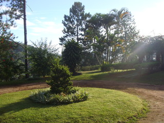 Jardim