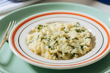 Risotto with Silene Vulgaris, a delicious spontaneous herb, ideal also for omelettes.