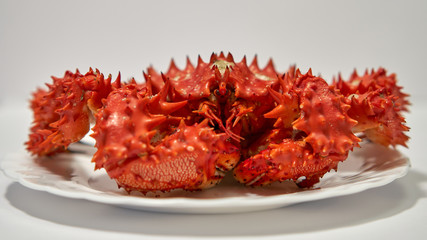 Raw Kamchatka red king crab on a white plate.