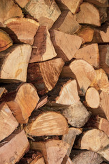 Tas de bois de chauffage coupé et empilé pour l'hiver