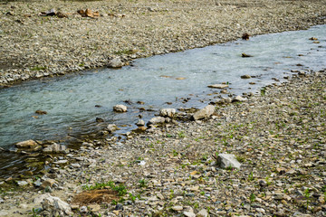 River bed with stones. Grass grows between stones and along the banks.