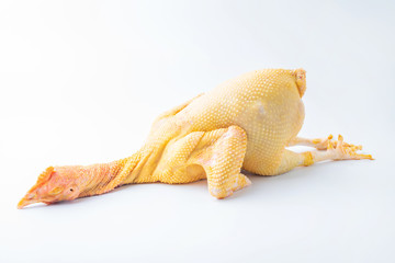 A fresh fat chicken on white background