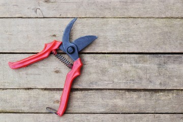 red and yellow secateurs.
