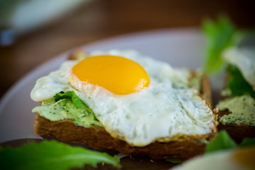 fried toast with cheese spread of arugula and fried egg in a plate