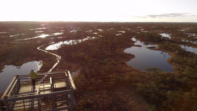 Person admires landscape with calm lakes and dense forests