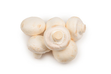 Champignon mushroom isolated on white background.