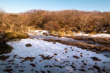 Winter and snow of Halla Mountain in Jeju Island, Korea