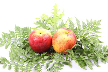 ripe red apple on green leaf on white background