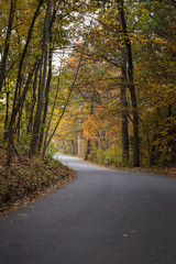 Autumn Landscapes in Massachusetts