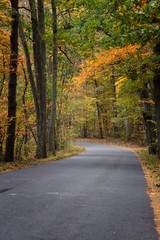 Autumn Landscapes in Massachusetts