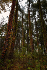 Autumn Landscapes in Massachusetts