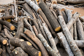 Fototapeta na wymiar wood arranged in layers, Pile of wood logs ready for industry. 