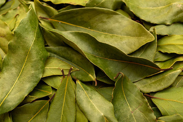 Dried bay leaves texture background