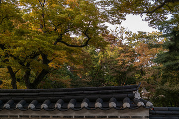 Fall of the secret garden of Changdeok Palace, a World Heritage Site in Seoul, South Korea