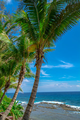 A wonderful shot of scenic tropical seascape with palm trees in foreground and ocean waters till horizon. Different hues of blues are visible in this shot which are complimented nicely by the greens