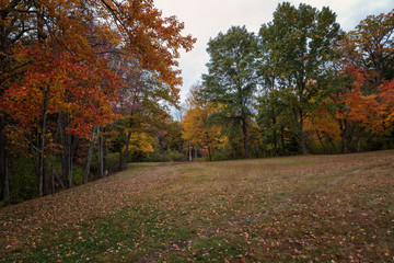 Naklejka premium Autumn Landscapes in Massachusetts