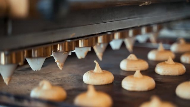 Automatic biscuit production line with sweet cookies.