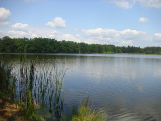 Trebon pond system - magical landscape of ponds, floodplain forests in south czechia