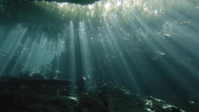 Sunlight beams penetrating the clear blue waters of a cenote cave in Mexico