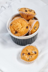Small muffins with chocolate chips in a bowl on the white rustic wooden background
