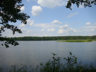 Obraz premium Trebon pond system - magical landscape of ponds, floodplain forests in south czechia