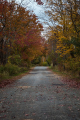 Autumn Landscapes in Massachusetts