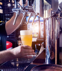 Bartender pouring draft beer at glasses in the bar.