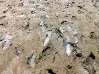Human footprints in the mud after 