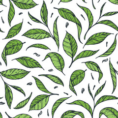 Tea leaf seamless pattern. Hand drawn vector illustration. Packaging design. Colorful green pattern.