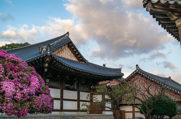 Fototapeta premium Autumn scenery of Tongdosa Temple, a world heritage site near Busan, South Korea