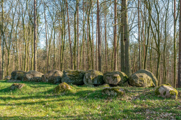 Prehistoric megalith dolmen Kuechentannen near Haldensleben in Germany