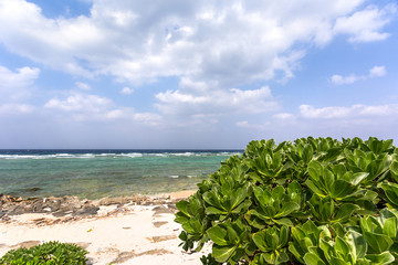 日本の最南端、沖縄県波照間島の海岸
