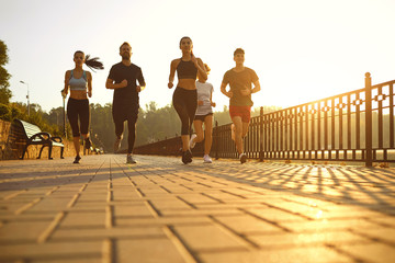 Group of runners in the park in the morning.