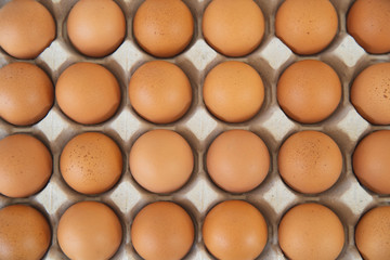 Close-up view of raw chicken eggs in egg box on wooden background. Raw chicken eggs in egg box organic food for good health high protein .